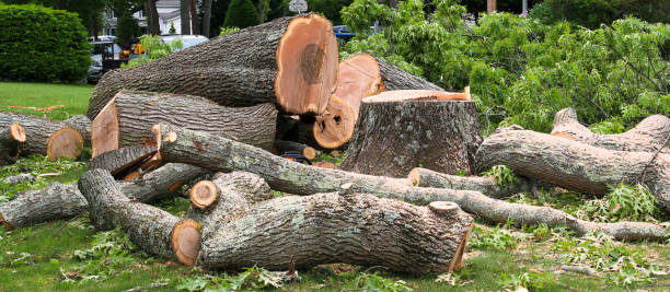 Lawn Grading and Leveling in North Gates, NY