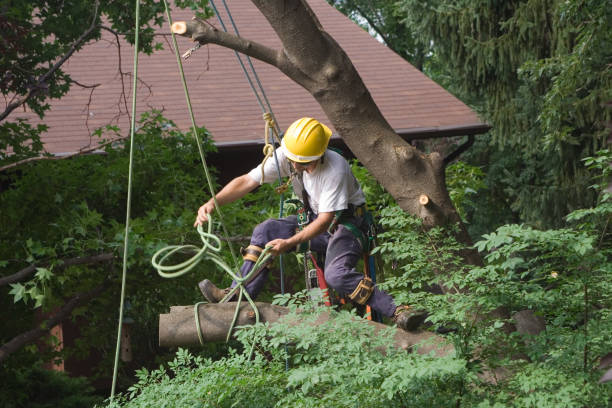 Landscape Design and Installation in North Gates, NY